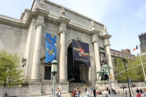 American-Museum-of-Natural-History-New-York