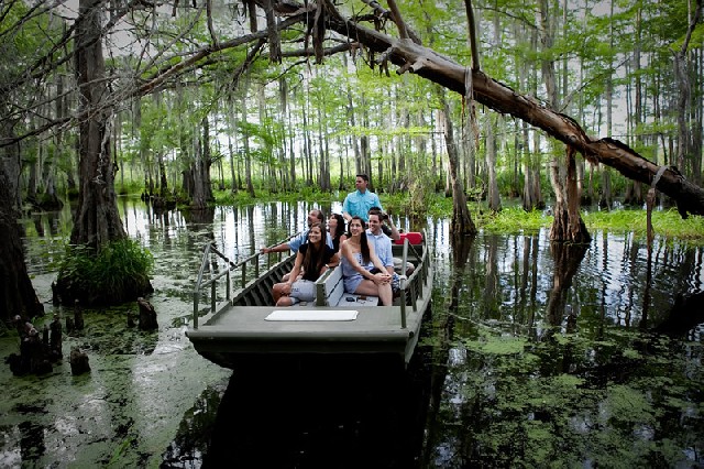 Honey Island Swamp Tour